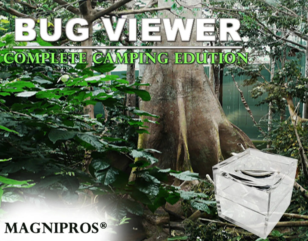 MAGNIPROS Pack of 3 Magnifier Box Bug Viewer Magnifies up to 5X (500%) with Crystal Clear