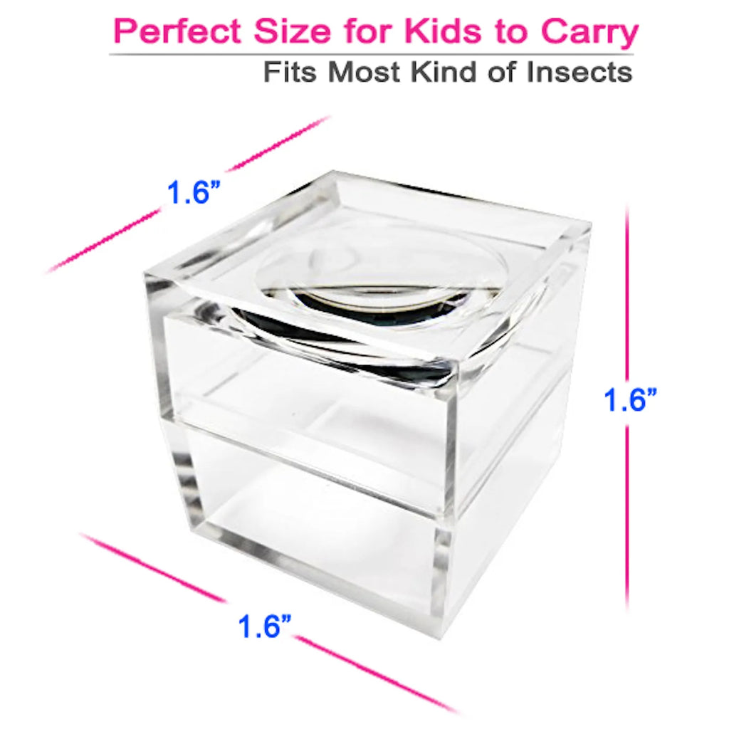 MAGNIPROS Pack of 3 Magnifier Box Bug Viewer Magnifies up to 5X (500%) with Crystal Clear