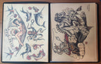 SAILOR JERRY Traditional Vintage Style Tattoo Flash Portfolio Book 50 Sheets