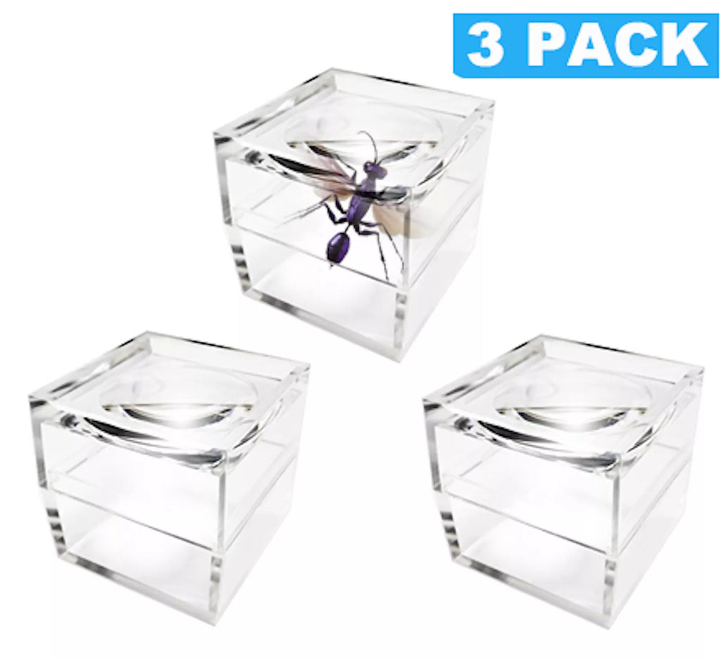 MAGNIPROS Pack of 3 Magnifier Box Bug Viewer Magnifies up to 5X (500%) with Crystal Clear