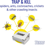 TERRO T3206 Spider & Insect Trap (4 Count) … (Pack of 2)