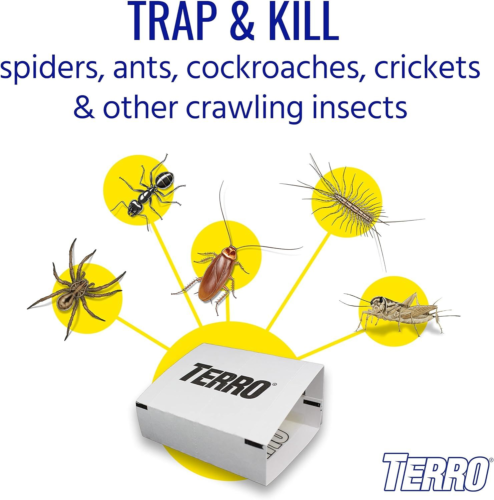 TERRO T3206-DS Spider & Insect Trap Display