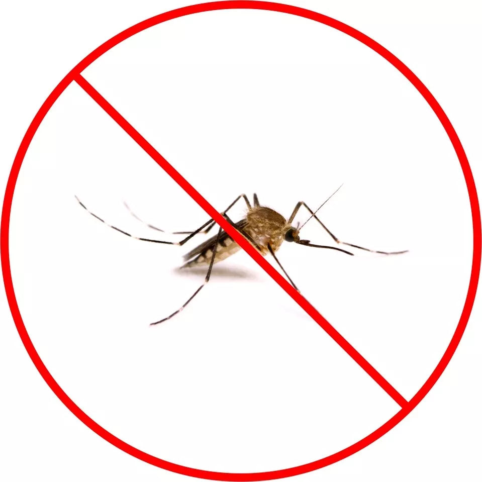 Industrial Insect Mosquito Bug Fogger Sprayer Electric