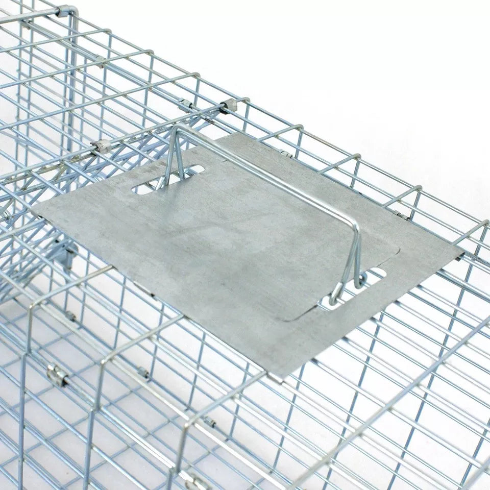32" Live Animal Cage Trap Heavy Duty Folding Raccoon Traps Humane Cat Trap