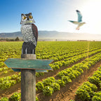Large head owl decoy Protect garden Yard Pest Repellent Bird Scarecrow outdoor