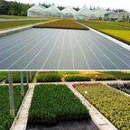 Heavy Duty Weed Barrier Fabric Woven Earthmat Ground Cover 3.2 Ounce Landscape - Size: 3FT x 100FT